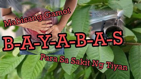 Halamang Gamot Sa Sakit Ng Tiyan At Pagtatae .